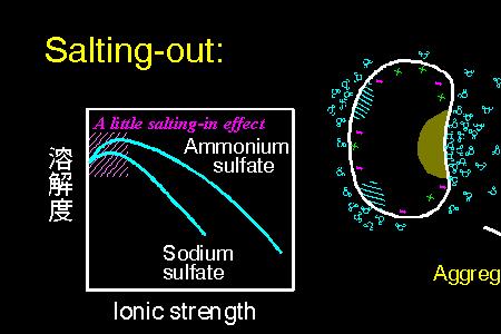 盐析萃取技术