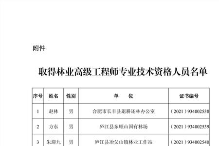 高级工程师哪个专业好些