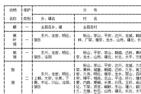 动物级别一览表