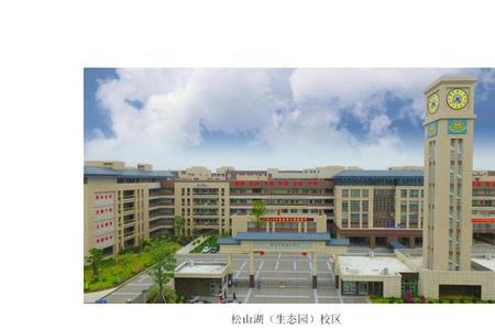 东莞东华小学入学条件