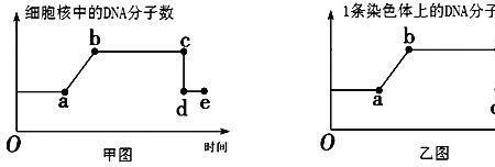 dna提出时间