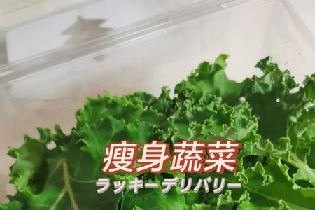 羽衣甘蓝粉和羽衣甘蓝菜一样吗