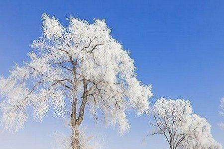 夏有雪诗句