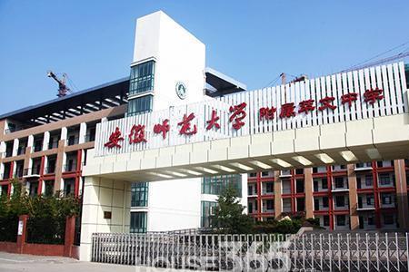 安师大附属巢湖实验中学怎样