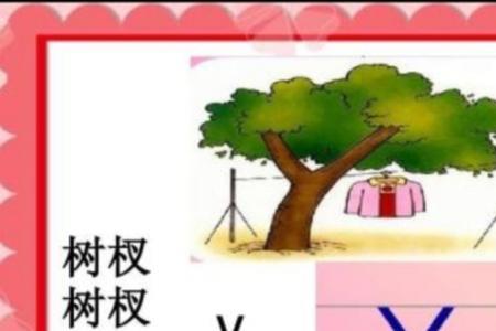 y在声母表是排第7吗