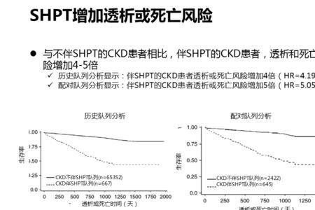 ckd订单啥意思