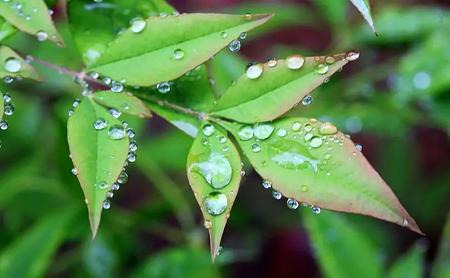 春天的雨如什么如什么飘飘洒洒