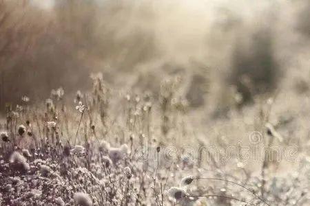 雨雪露霜的含义