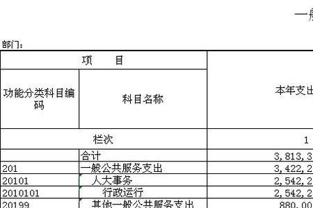 一般公共预算有哪几种预算名称