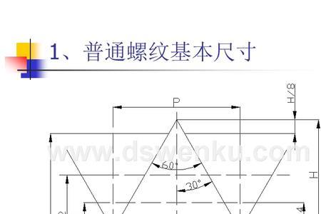 中径是什么意思