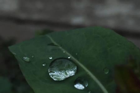 细听窗外风雨声诗句