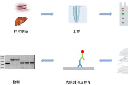 wb技术的原理及意义