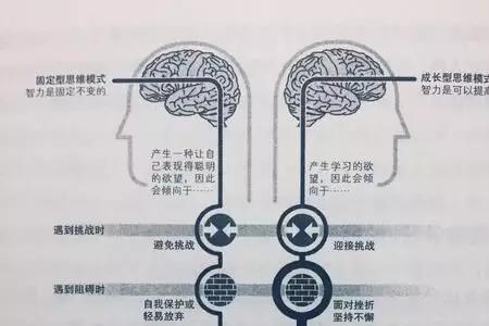 固定化思维强调的是什么