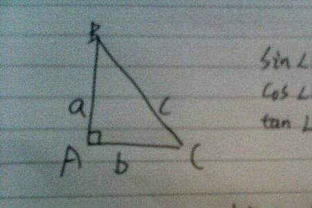锐角三角形的sin跟cos之间有什么关系
