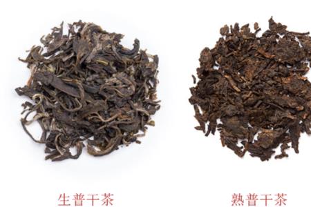 正山小种生茶与熟茶的区别