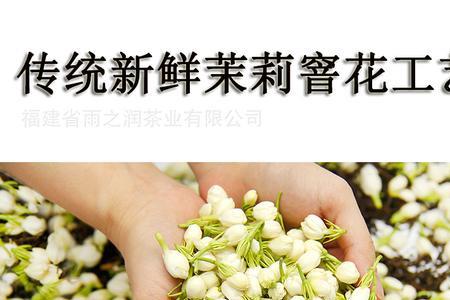 东方茶树茉莉花茶文案