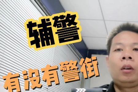 辅警带民警的警衔犯法吗