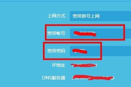 tplink访客网络有什么用