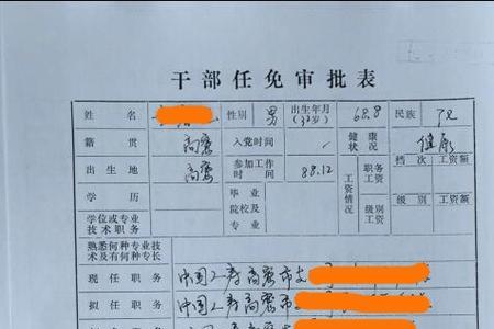 央企干部任免审批表什么人填写