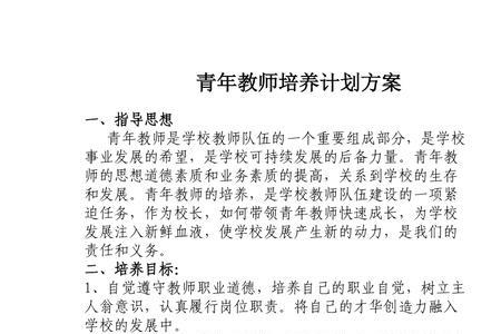 青年教师培养的目的和意义