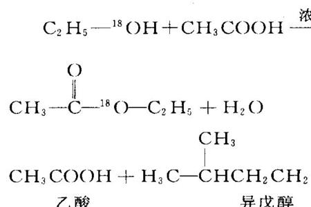 酚能否发生酯化