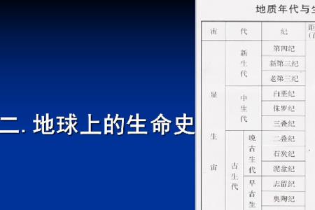 不同地质年代的生物进化特点