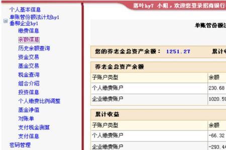 国家电网企业年金查询官网