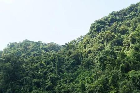 鼎湖洲岛好玩吗