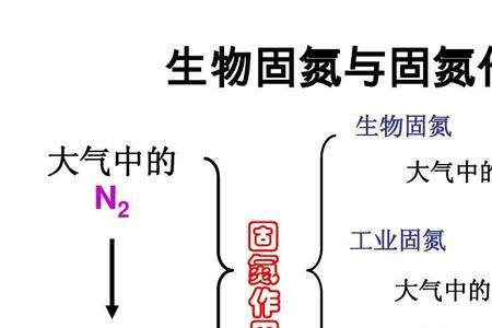 固氮培养基是什么