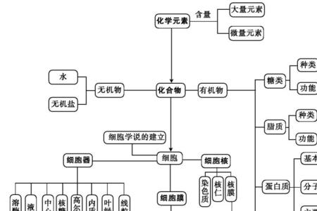 生命的物质基础有哪些