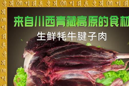 一头牦牛能出多少斤牛肉