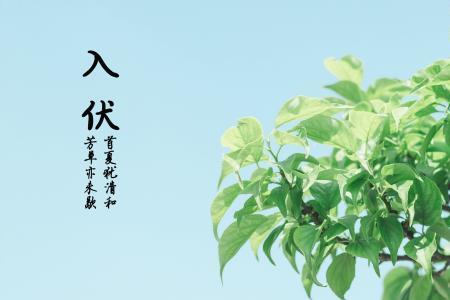 三伏天给长辈的祝福语