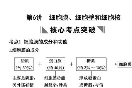 细胞核和核糖体的区别