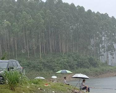 高温水库钓鱼钓多深