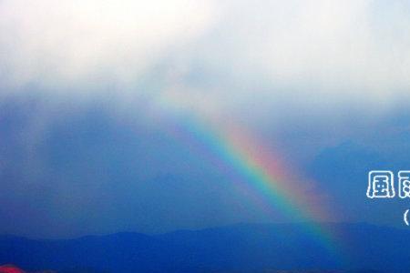 风雨彩虹铿锵玫瑰是谁写的