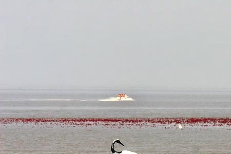 盘锦赶海去哪个海域好