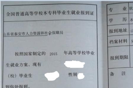 所有的公司都要报到证吗