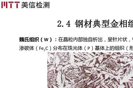 T12钢金相组织形态特征