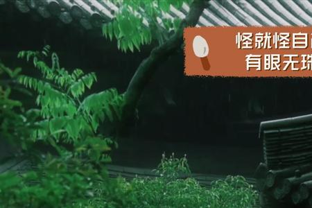 无眼无珠是什么意思