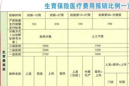 江苏省产检费用可以报销吗