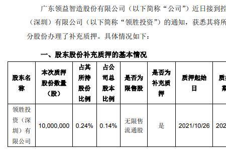 领益集团属于什么企业