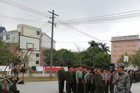 武鸣华侨中学是民办还是公办