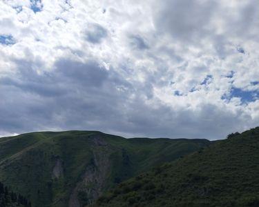 风沙茫茫满山谷诗句