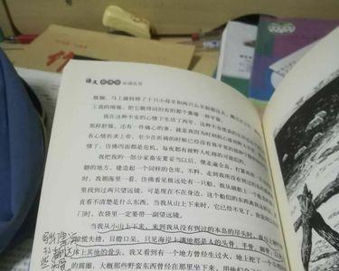 鲁滨逊漂流记书评50字