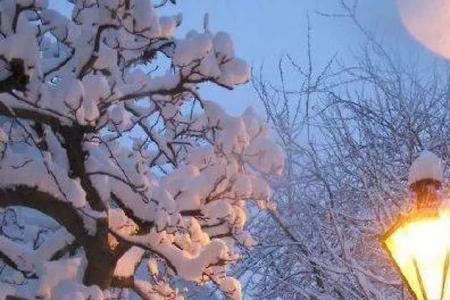 风雪中的一盏灯概括