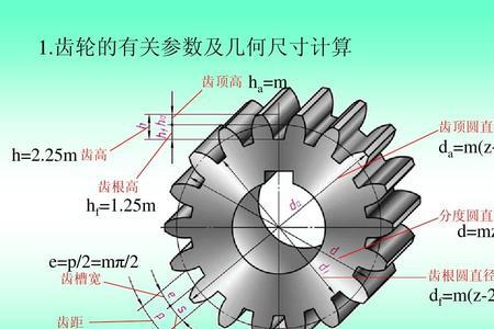 齿轮中的齿距是什么意思