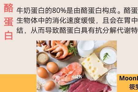 动物能合成蛋白质吗