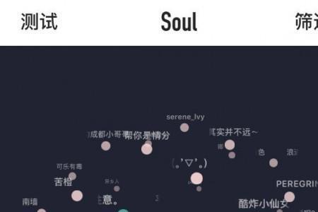 soul怎么摸对方的头