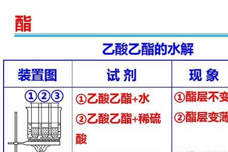 乙酸乙酯水解断键位置