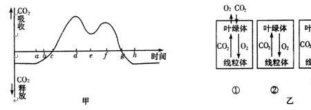 生成ATP的细胞器是什么